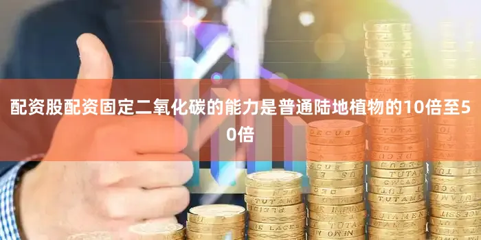 配资股配资固定二氧化碳的能力是普通陆地植物的10倍至50倍