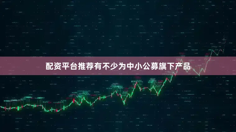 配资平台推荐有不少为中小公募旗下产品