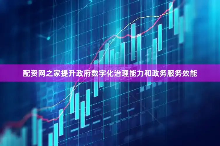 配资网之家提升政府数字化治理能力和政务服务效能